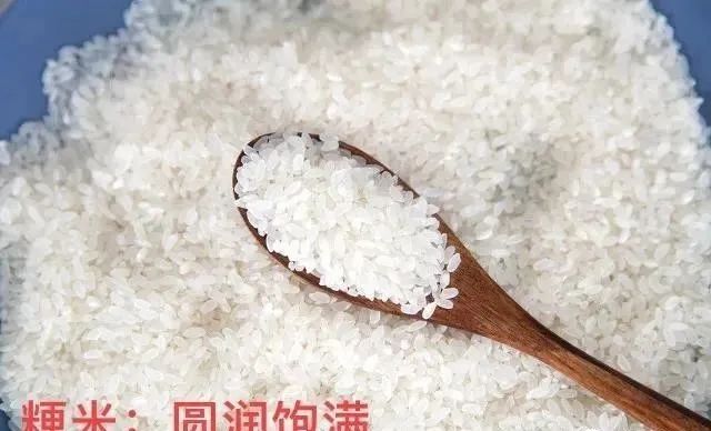 微信圖片_20230313110432.jpg 微信圖片_20230313110432.jpg
