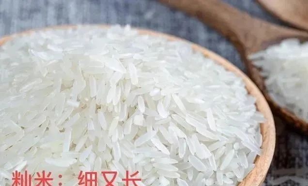 微信圖片_20230313110429.jpg 微信圖片_20230313110429.jpg
